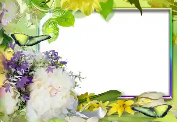 照片效果分类 女性相框 № 131607