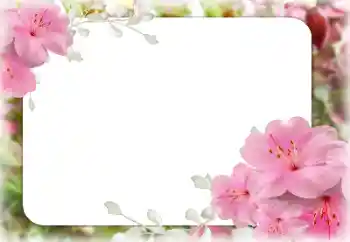 照片效果分类 女性相框 № 131609