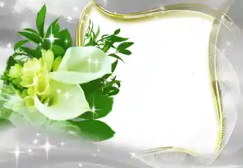 照片效果分类 女性相框 № 131819