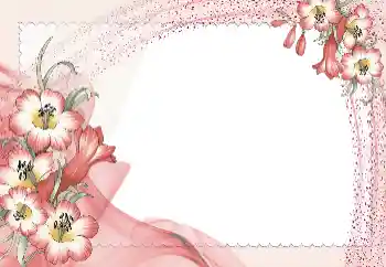 照片效果分类 女性相框 № 131821