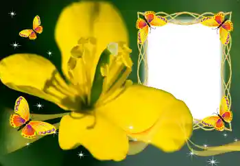 照片效果分类 女性相框 № 132883