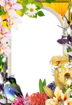 照片效果分类 女性相框 № 133075 照片效果分类 女性相框 № 133075