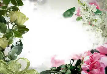 照片效果分类 女性相框 № 133078
