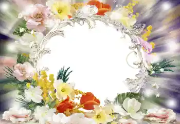 照片效果分类 女性相框 № 133080