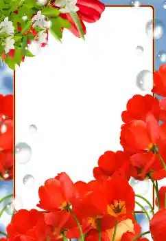 照片效果分类 女性相框 № 133081