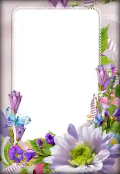 照片效果分类 女性相框 № 133082