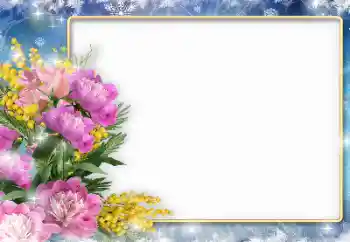 照片效果分类 女性相框 № 133083