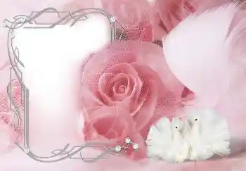 照片效果分类 女性相框 № 133313 照片效果分类 女性相框 № 133313