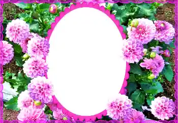 照片效果分类 女性相框 № 135504 照片效果分类 女性相框 № 135504