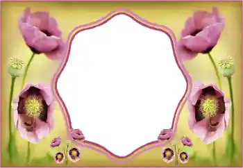 照片效果分类 女性相框 № 135508 照片效果分类 女性相框 № 135508