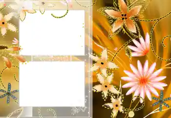 照片效果分类 女性相框 № 13909