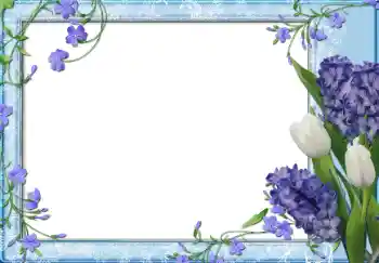 照片效果分类 女性相框 № 13950