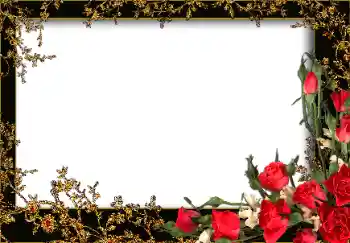 照片效果分类 女性相框 № 13953