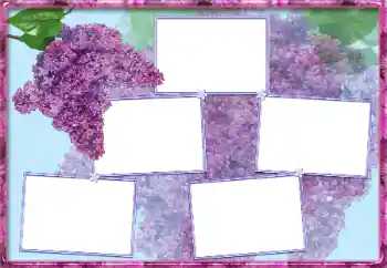 照片效果分类 女性相框 № 13954
