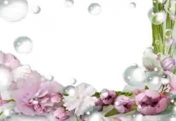 照片效果分类 女性相框 № 139757