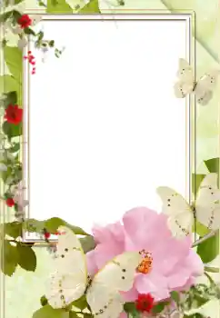 照片效果分类 女性相框 № 139758