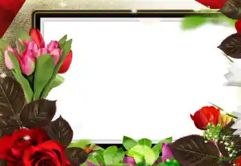 照片效果分类 女性相框 № 139912