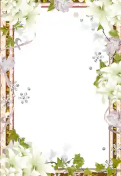照片效果分类 女性相框 № 139915