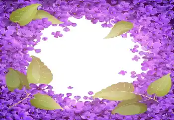照片效果分类 女性相框 № 141055 照片效果分类 女性相框 № 141055