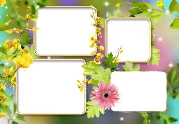 照片效果分类 女性相框 № 141134