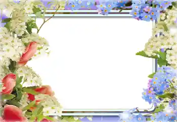 照片效果分类 女性相框 № 141146
