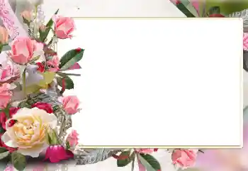 照片效果分类 女性相框 № 141147