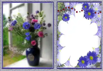 照片效果分类 女性相框 № 142378