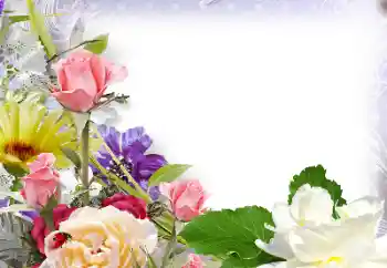 照片效果分类 女性相框 № 142430 照片效果分类 女性相框 № 142430