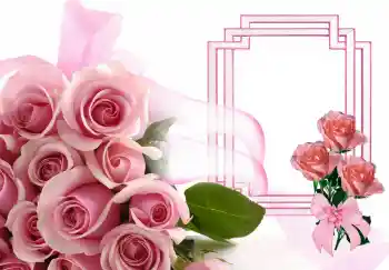 照片效果分类 女性相框 № 143506 照片效果分类 女性相框 № 143506
