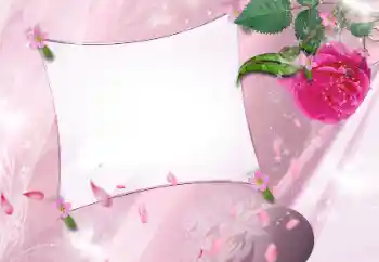照片效果分类 女性相框 № 143586