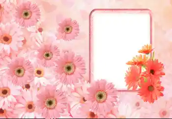 照片效果分类 女性相框 № 143633