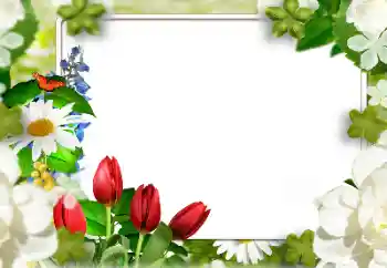 照片效果分类 女性相框 № 143811