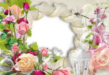 照片效果分类 女性相框 № 144824