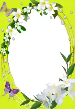 照片效果分类 女性相框 № 144952