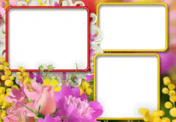 照片效果分类 女性相框 № 146392