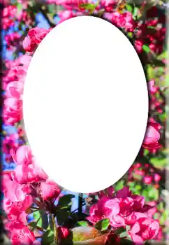 照片效果分类 女性相框 № 147641