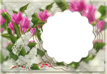 照片效果分类 女性相框 № 147732 照片效果分类 女性相框 № 147732