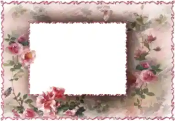 照片效果分类 女性相框 № 147733 照片效果分类 女性相框 № 147733