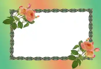 照片效果分类 女性相框 № 149186