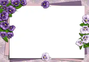 照片效果分类 女性相框 № 149194