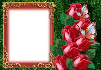 照片效果分类 女性相框 № 149219