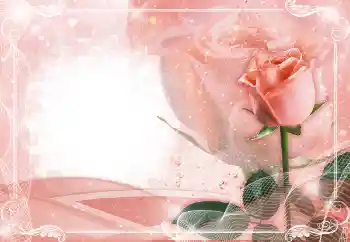 照片效果分类 女性相框 № 149224