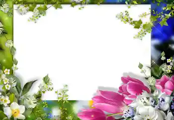 照片效果分类 女性相框 № 149325