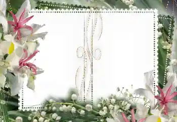 照片效果分类 女性相框 № 15027 照片效果分类 女性相框 № 15027