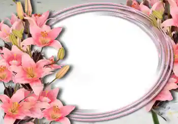照片效果分类 女性相框 № 15032 照片效果分类 女性相框 № 15032