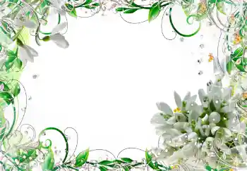 照片效果分类 女性相框 № 150495