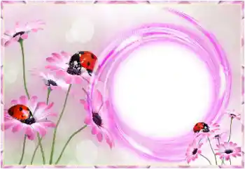 照片效果分类 女性相框 № 150559