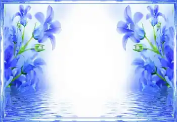 照片效果分类 女性相框 № 150560