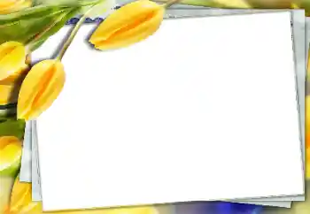 照片效果分类 女性相框 № 150591