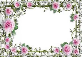 照片效果分类 女性相框 № 150641